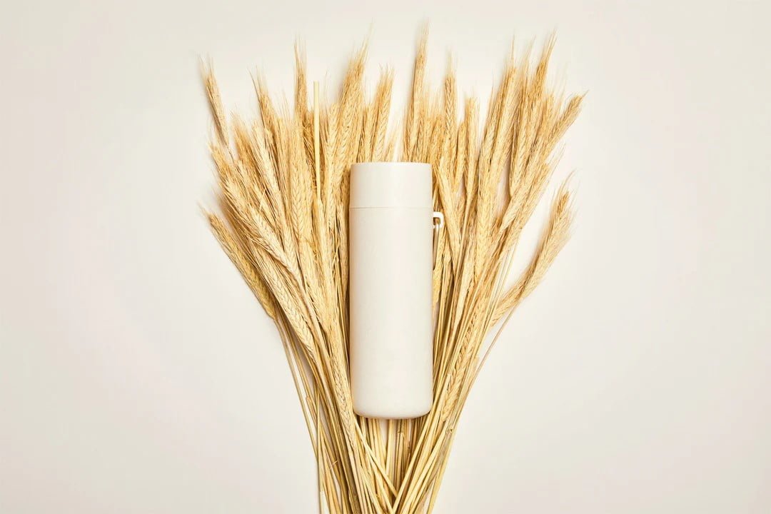 Τι είναι το Wheat Straw Plastic; Όλα όσα πρέπει να ξέρετε!